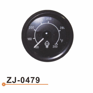 ZJ-0479 水温表