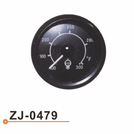 ZJ-0479 水温表
