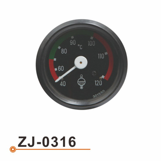ZJ-0316 水温表