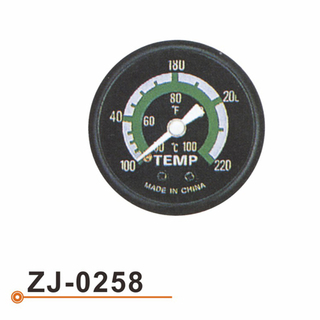 ZJ-0258 水温表