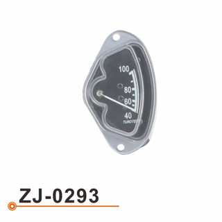 ZJ-0293小表