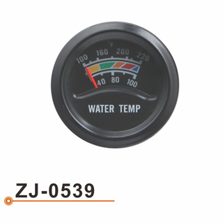 ZJ-0539 水温表