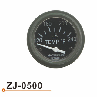 ZJ-0500 水温表