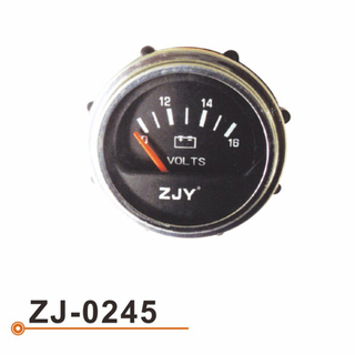 ZJ-0245 电压表