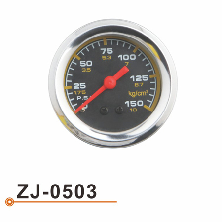 ZJ-0503油压表