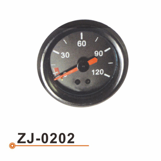 ZJ-0202 水温表