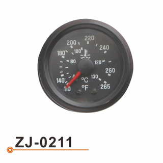 ZJ-0211 水温表