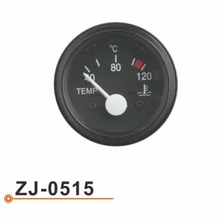 ZJ-0515 水温表